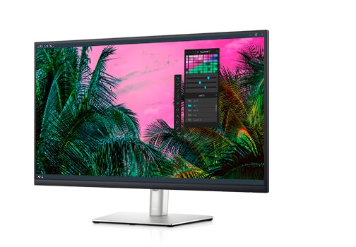Dell 32 USB-C Monitor - P3221D | Dell Middle East