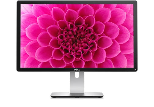 Dell 24 Ultra HD 4K Monitor: P2415Q | Dell Middle East