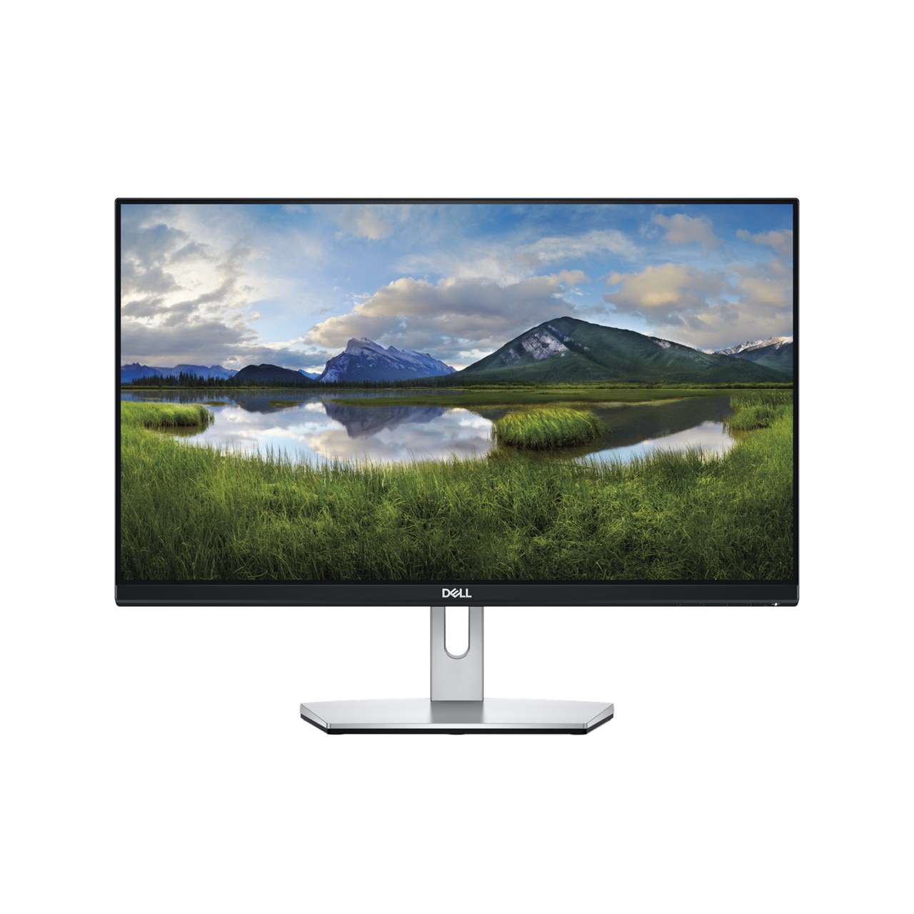 Dell S2319NX