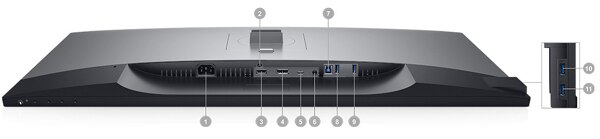 Monitor Dell U3219Q: opciones de conectividad