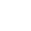 Check Properties Icon 