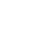 Snapshot Icon