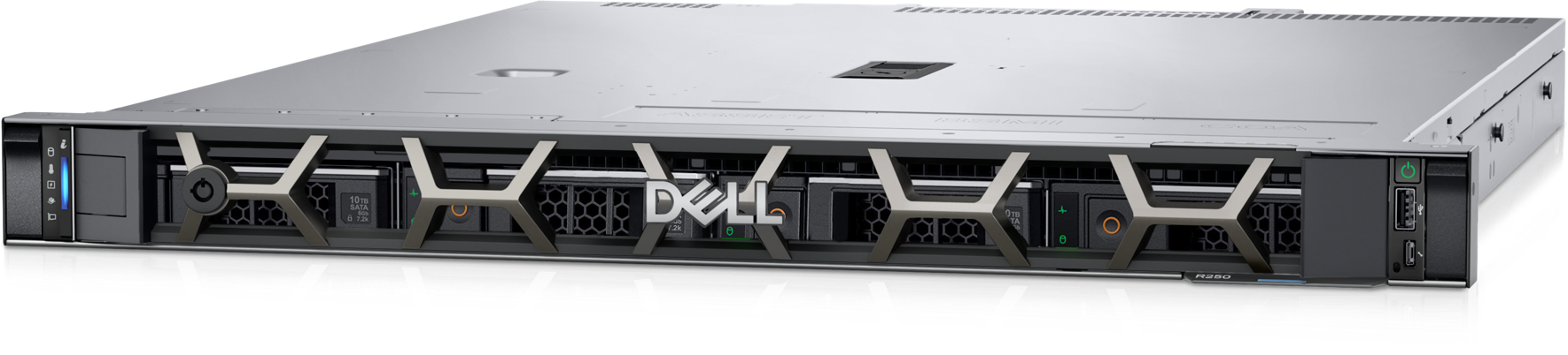 Frisør Gå rundt Fortløbende PowerEdge R250 Rack Server | Dell USA