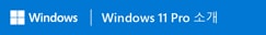 Windows I Windows 11 Pro 소개