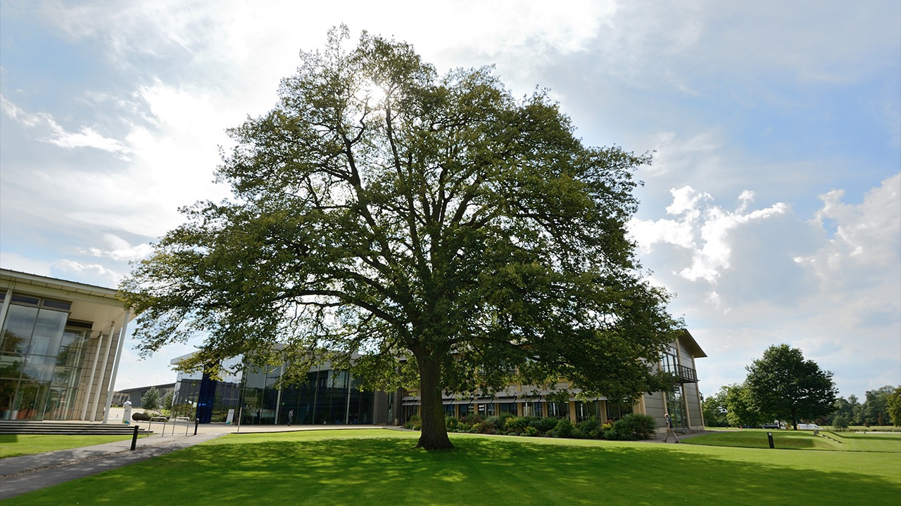 Vídeo do Wellcome Sanger Institute