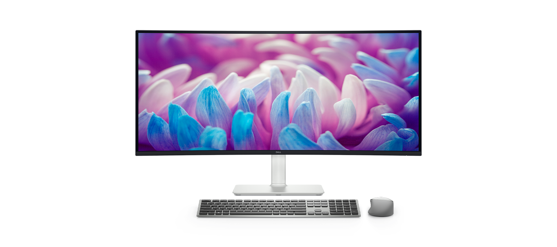 Productivity & Performance