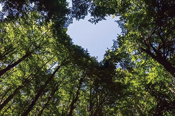 The Journey Toward Circularity with Responsible Asset Retirement