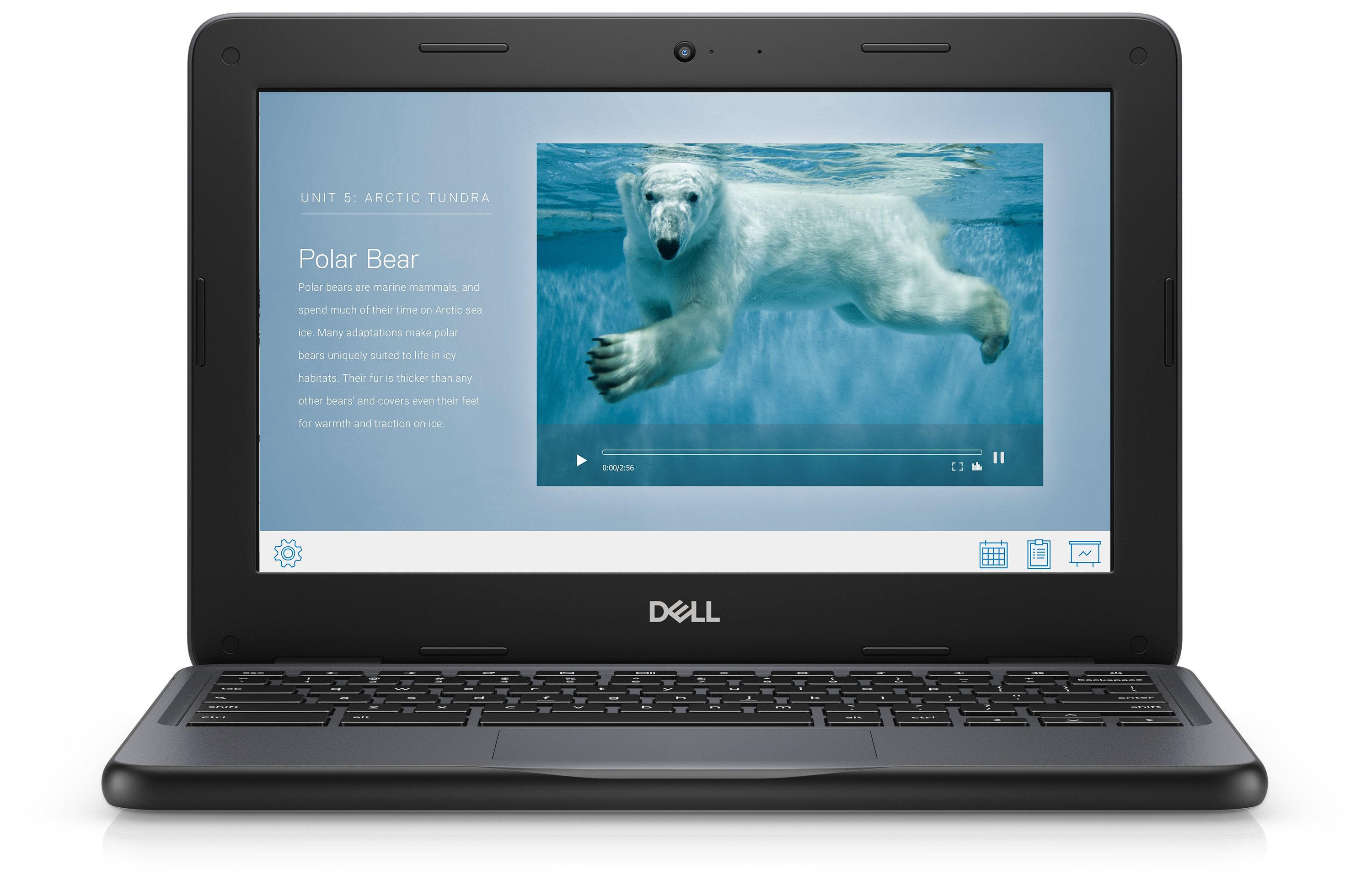 Dell Chromebook Laptop Intel Celeron 4gb 16gb Ssd Cb1c13 School Ready