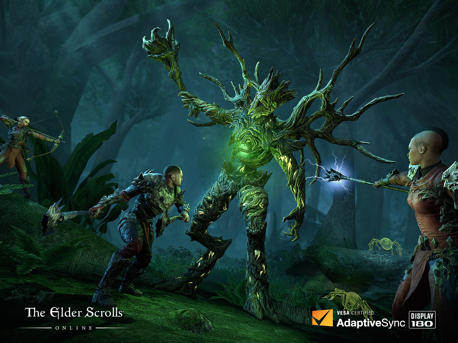 Image promotionnelle d’Elder Scrolls Online avec le logo certifié VESA Adaptive Sync Display 180.