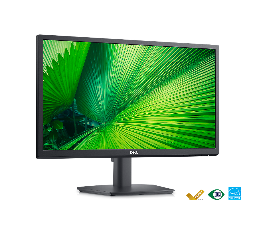 Bild eines Dell E2223HN-Monitors mit Hintergrund aus grünen Blättern auf dem Bildschirm.