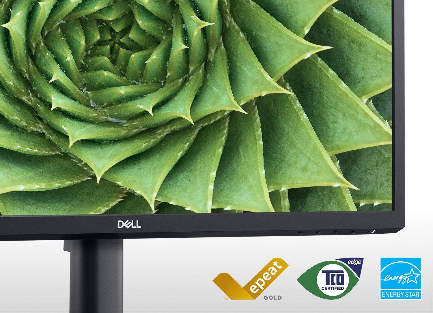 Dell 24 吋視訊會議顯示器(E2423H)：外接電腦顯示器| Dell 香港