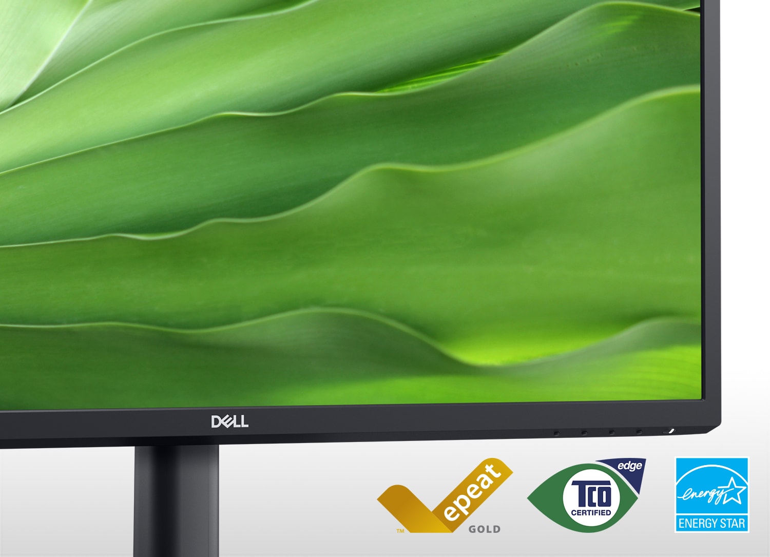 Picture of a Dell E2723H Monitor green leaves on the screen.