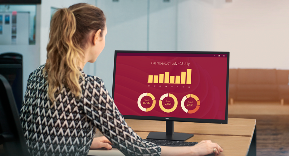 Dell 24 Monitor - E2425H