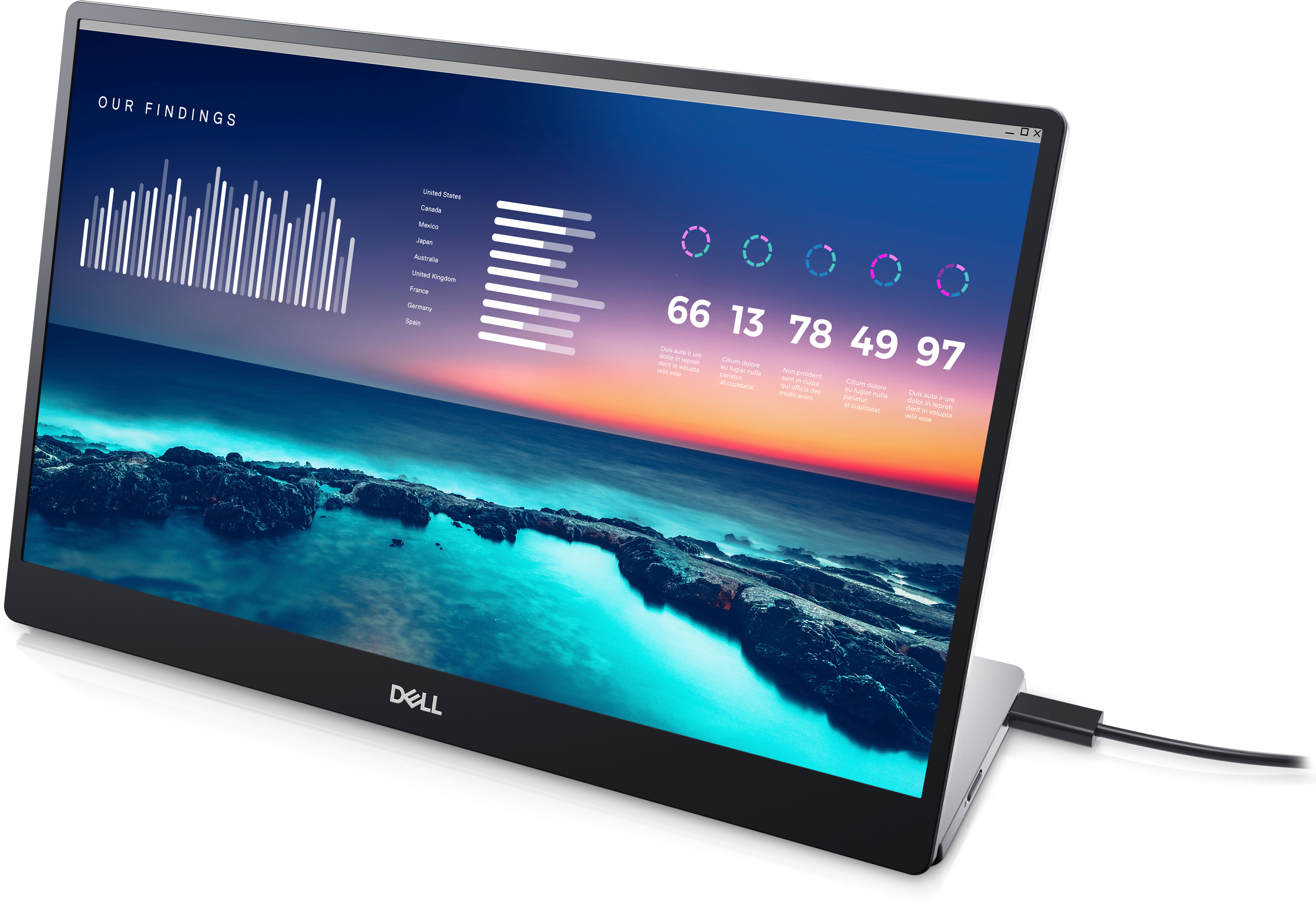 Dell 35.56 cm (14 inch) Portable Monitor - P1424H