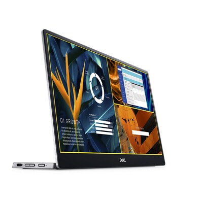 Portabler Dell Monitor – P1424H