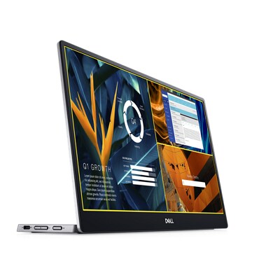 Dell P1424H Portable Monitor.