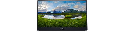 Dell P1424H