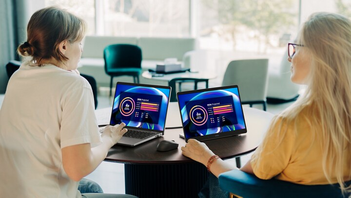 Dell Pro 14 Plus Portable Monitor - P1425