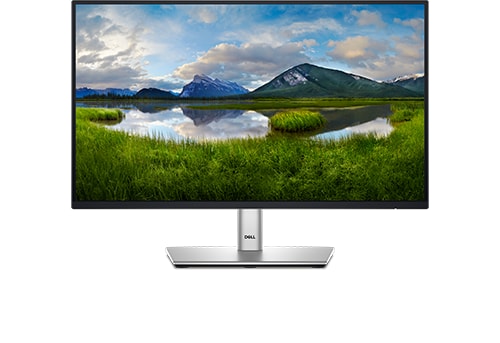 Dell P2225H