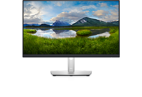 Dell P2422HE
