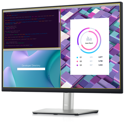 Bild eines Dell P2423-Monitors mit einem Code, einer Suchleiste mit der Aufschrift „Developer Directory“ und einem Bericht, der den Bildschirm teilt.