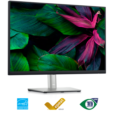 Zdjęcie monitora Dell P2423 z zielonymi i różowymi liśćmi w tle.