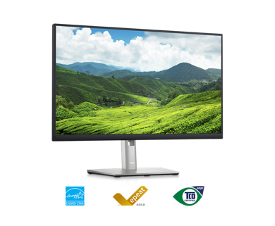 Picture of a Dell P2423D Monitor with a nature landscape background on the screen.