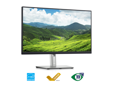 Picture of a Dell P2423D Monitor with a nature landscape background on the screen.