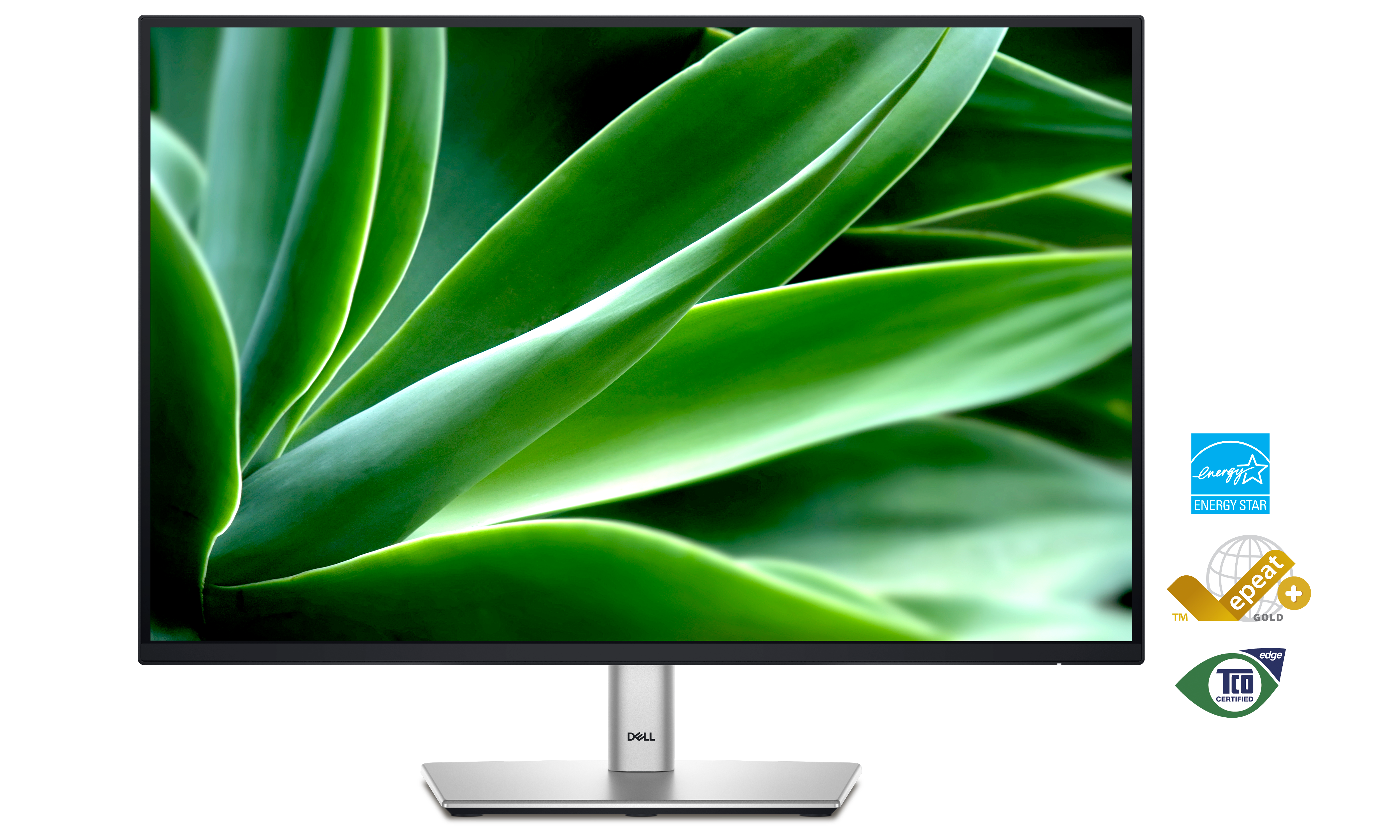 P-Series 2425 Monitor PDP image