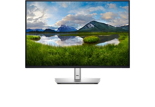 Dell P2425E