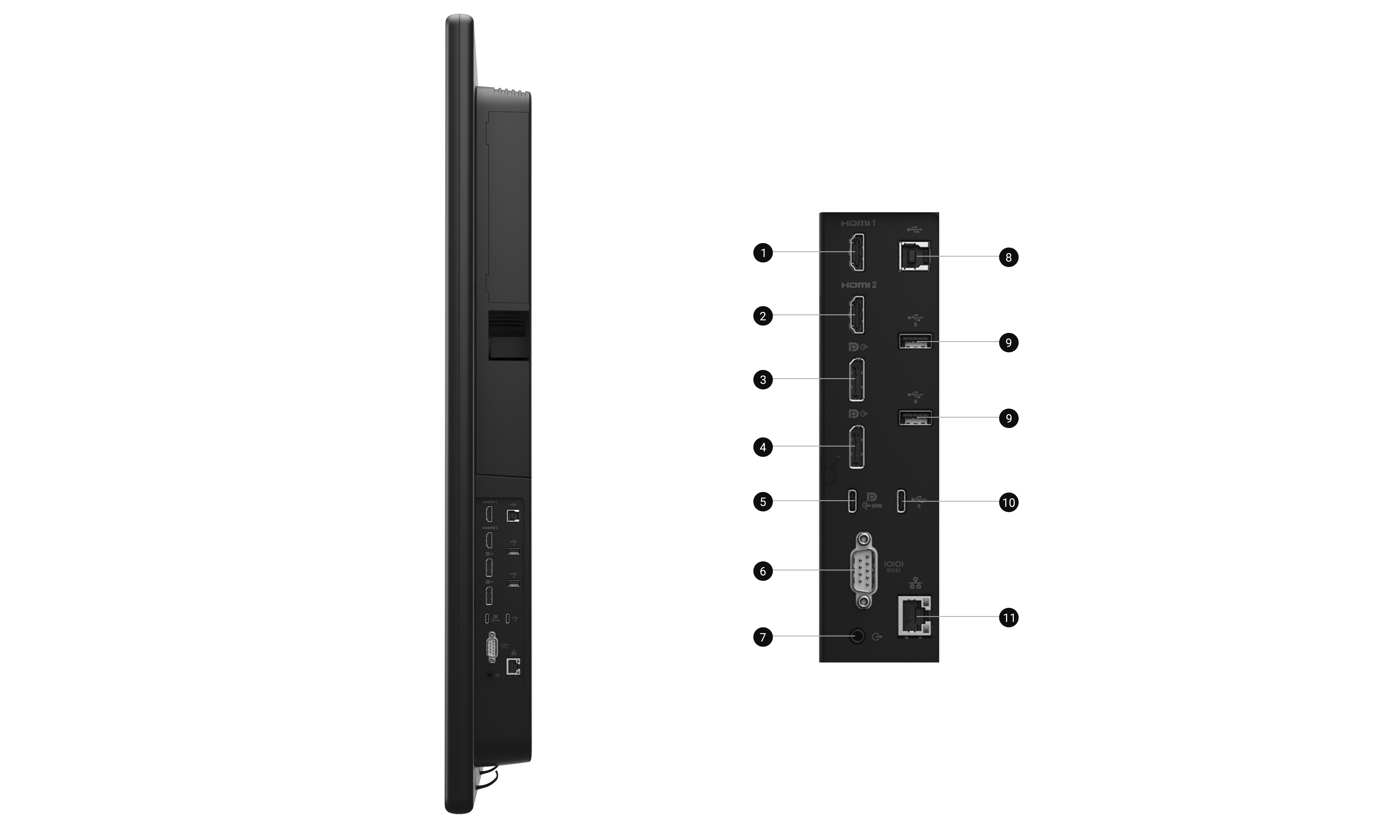 Dell P5525QC - Priključci