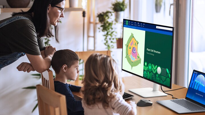 Dell 32 Plus 4K Monitor - S3225QS