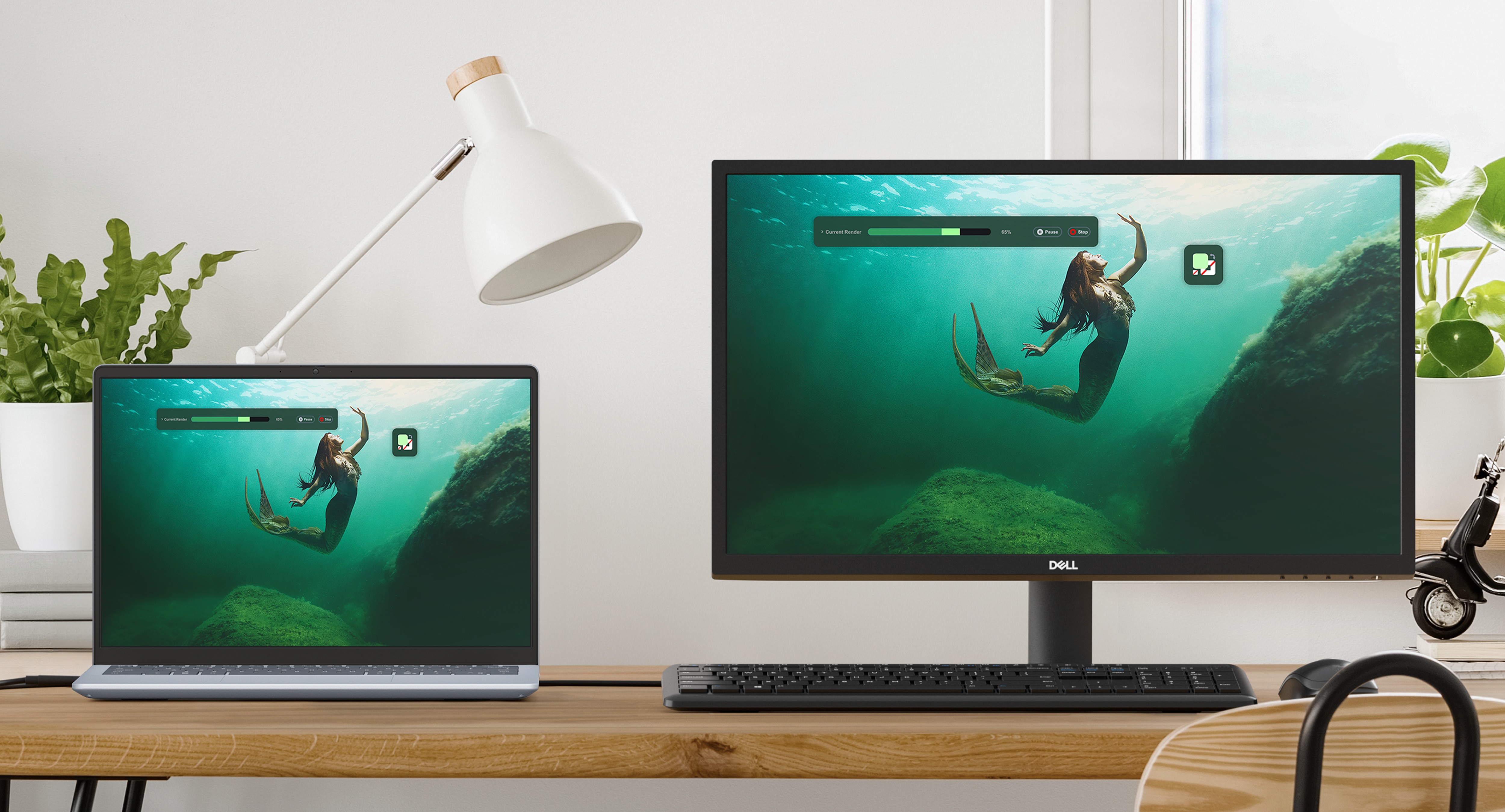 Dell 24 モニター - SE2425H | Dell 日本 Dell 24 モニター - SE2425H | Dell 日本