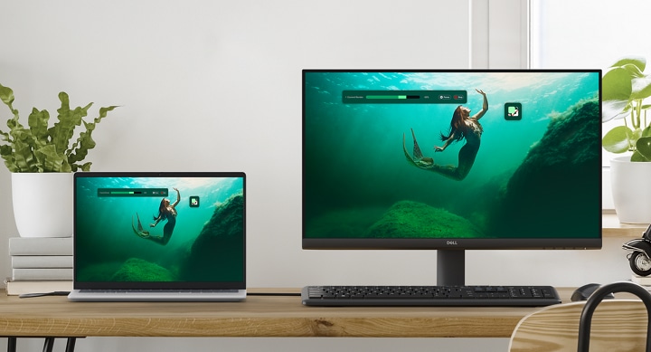 Dell SE2425HM