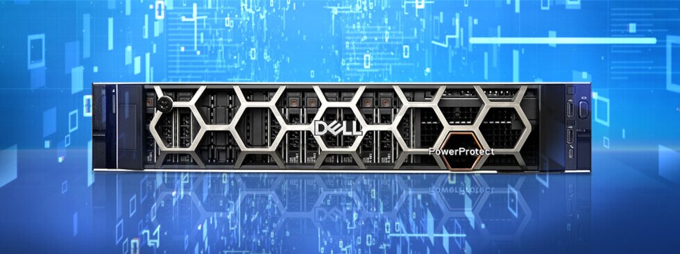 Dell EMC PowerProtect DD6900