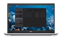 Dell Hybrid Client