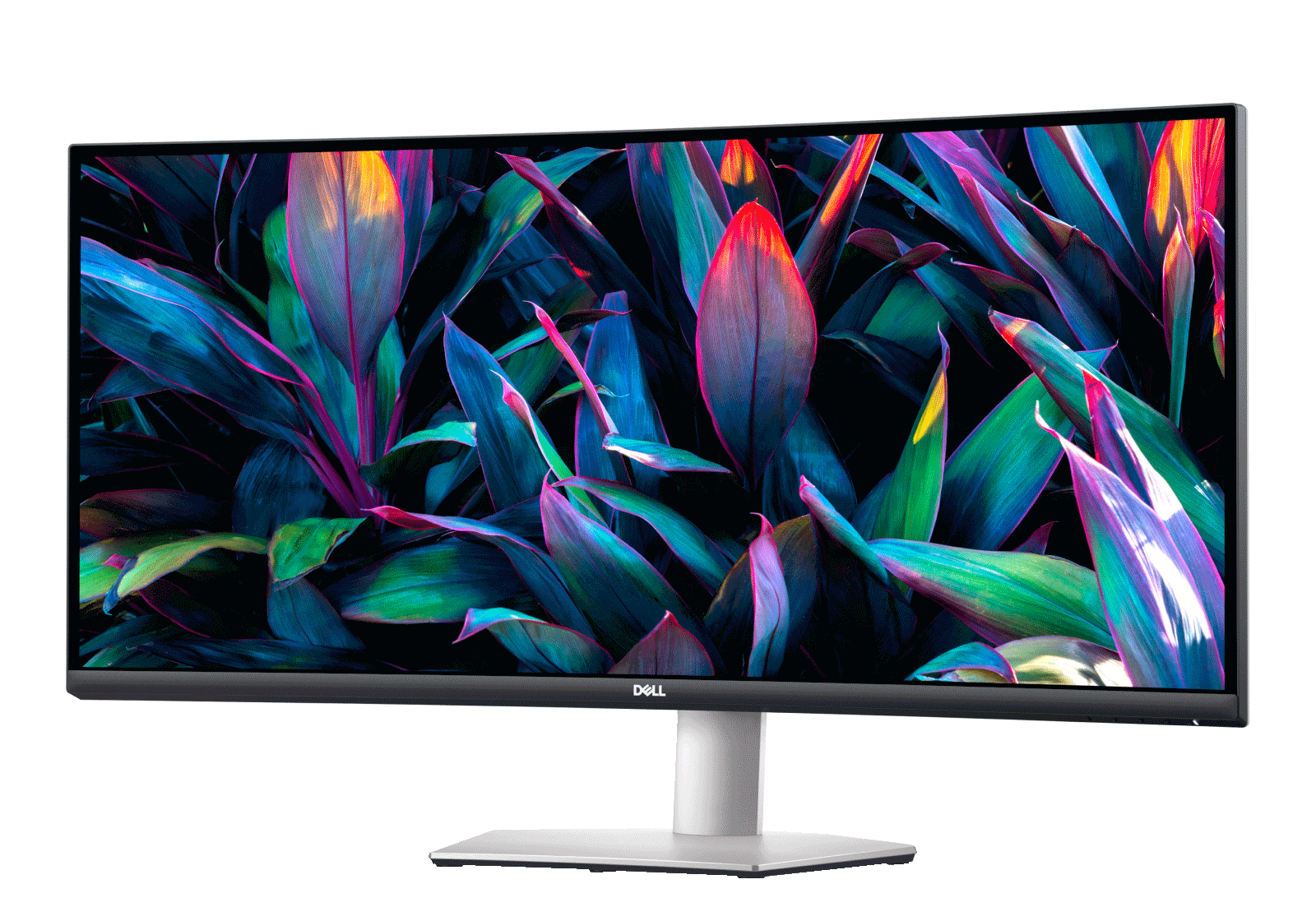 Dell 34" Curved Monitor - S3423DWC