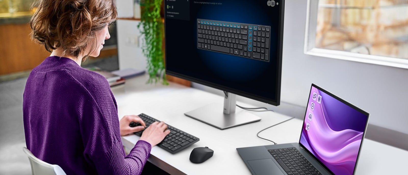 Dell Display and Peripheral Manager