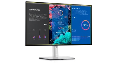 Dell Display Manager