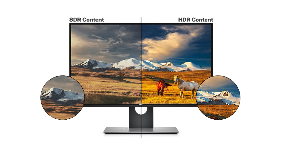 Màn hình Dell U2518D - Hình ảnh sống động như thật