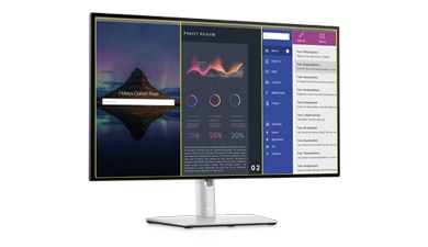 Dell Display Manager