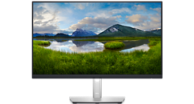 Picture of a Dell 24" Monitor P2422H.