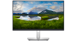 Imagen de un monitor Dell P2422H con un panorama natural en el fondo.