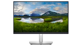 Picture of a Dell P2422H Monitor with a nature landscape on the screen background. 