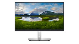 Imagem de um monitor Dell P2222H com uma paisagem no fundo.