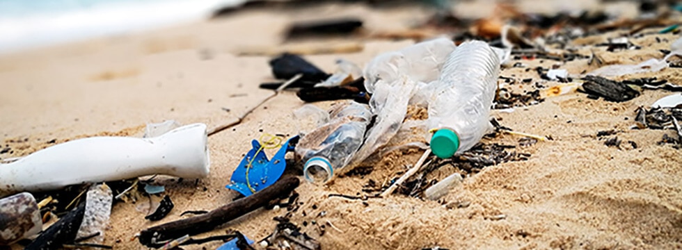 海洋プラスチック：悪循環の打破
