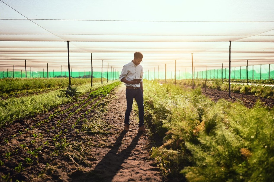 Sustainability picture