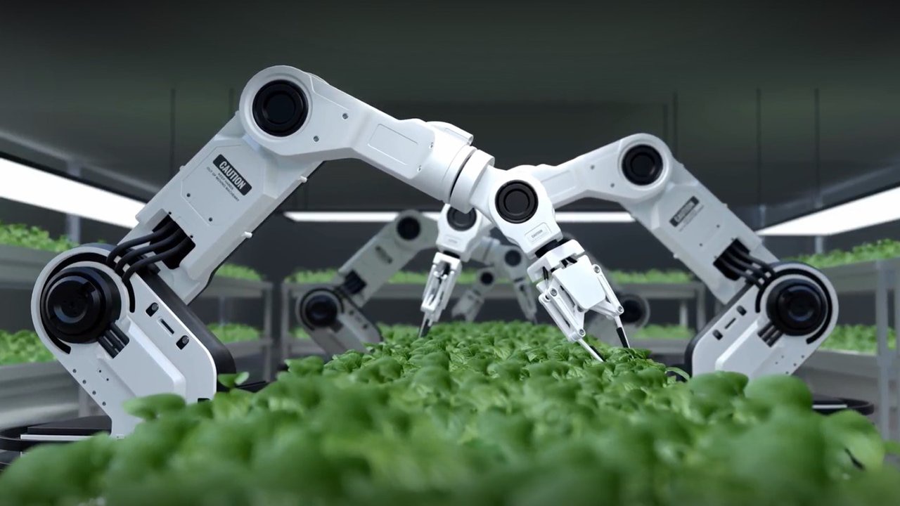A ZERO Farms revoluciona a agricultura com soluções de IA e na borda