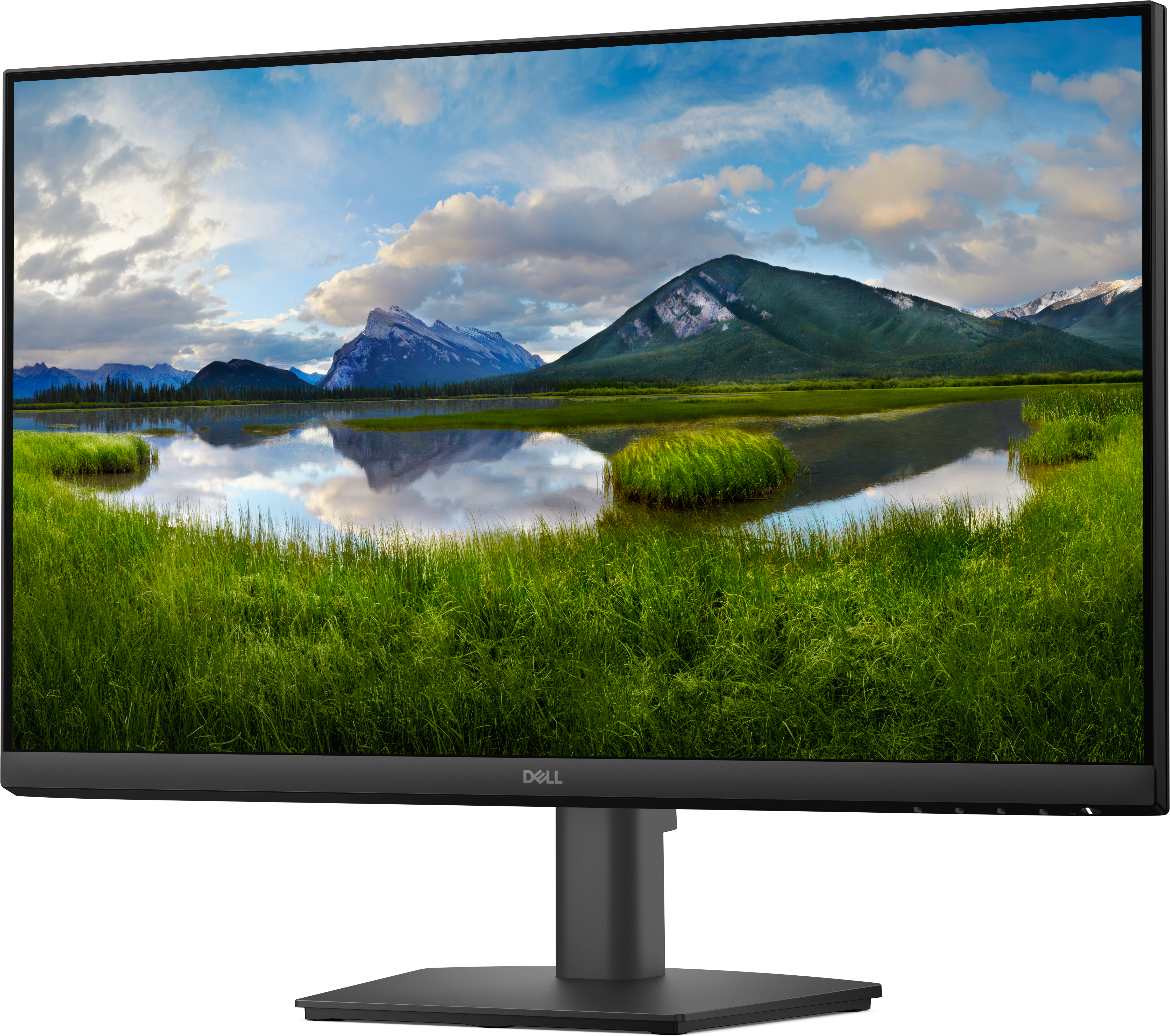 Dell Pro 24 Monitor - E2425HM