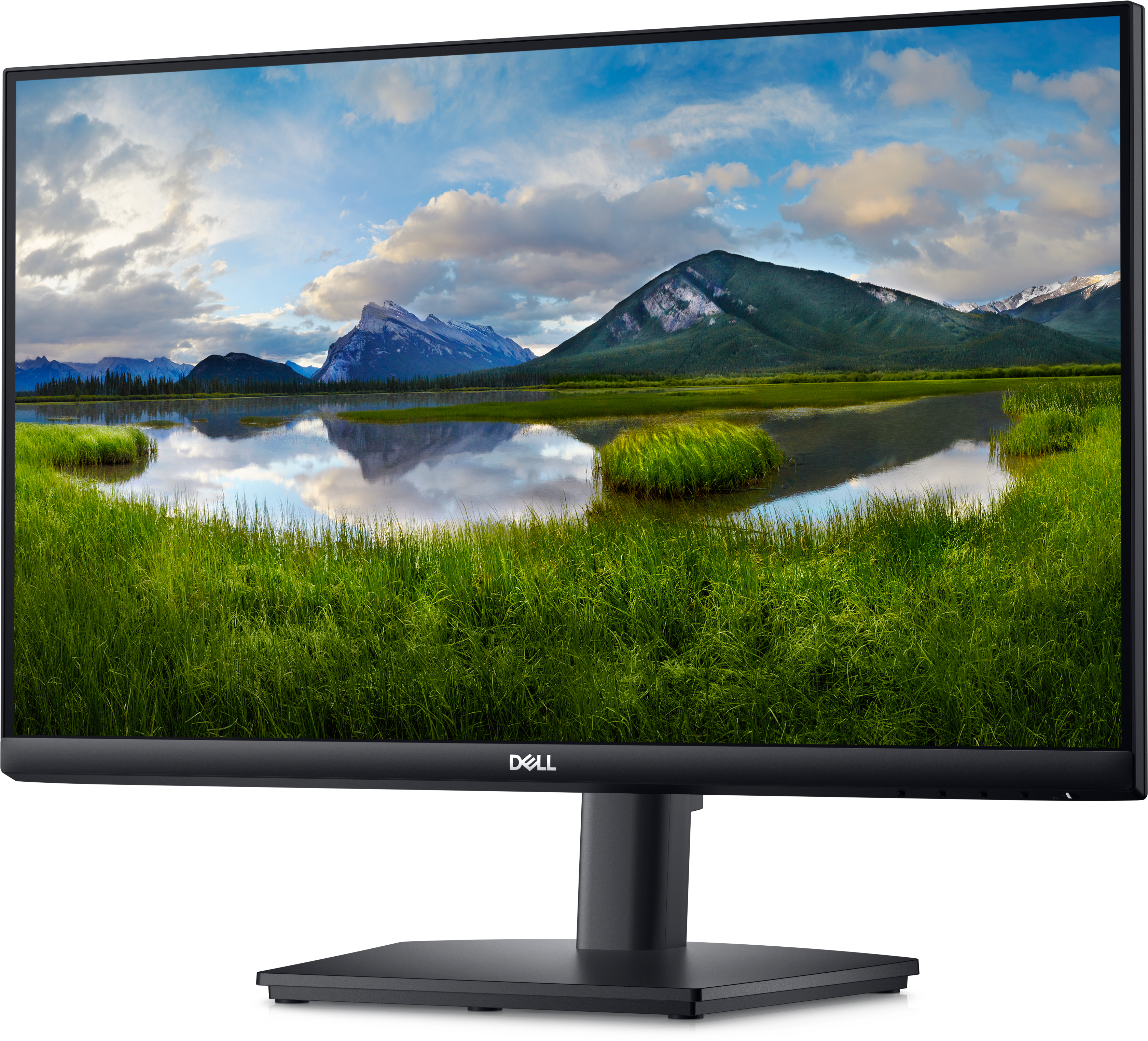 Dell 24 Monitor